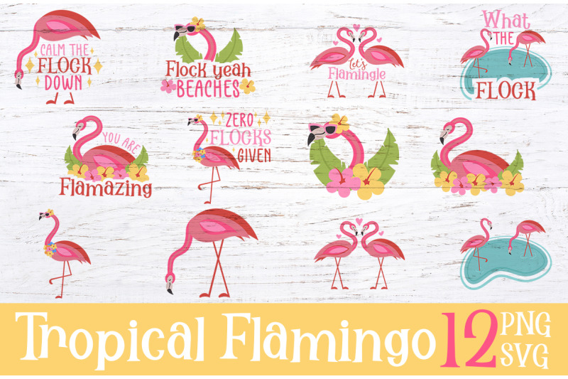 summer-tropical-flamingo-sublimation-svg-png-cut-files