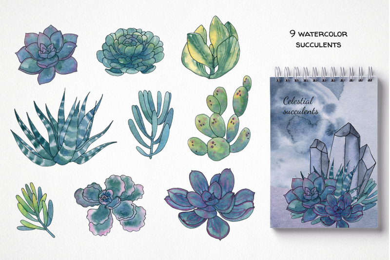 watercolor-succulent-cactus-clipart-unicorn-mythical-plant-png