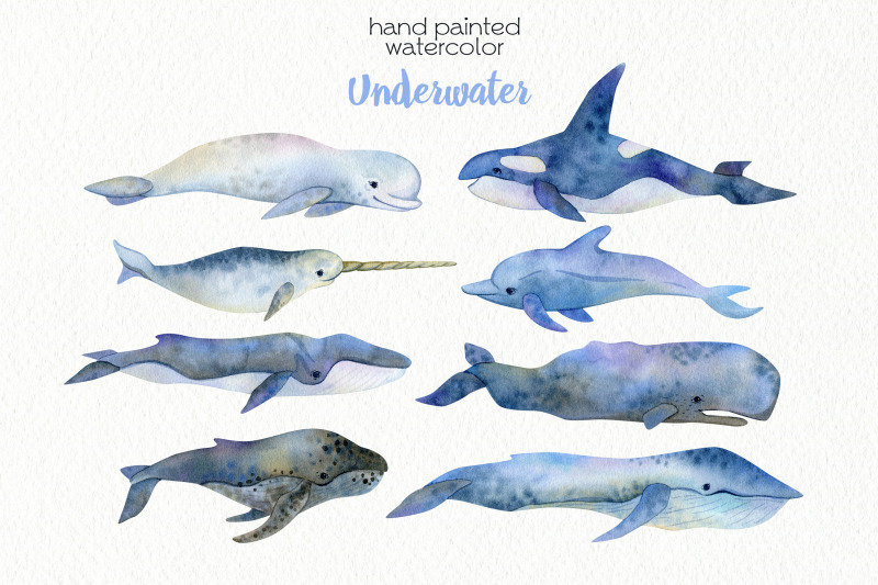 watercolor-whales-clipart