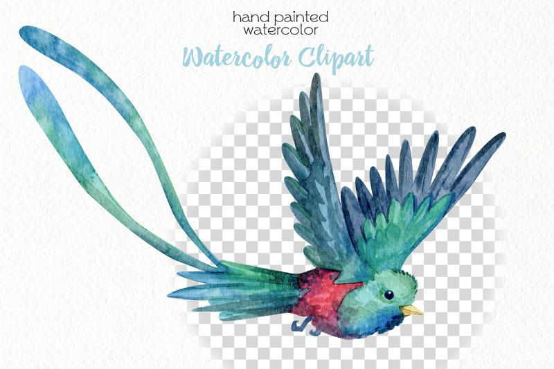 watercolor-birds-clipart-png-files