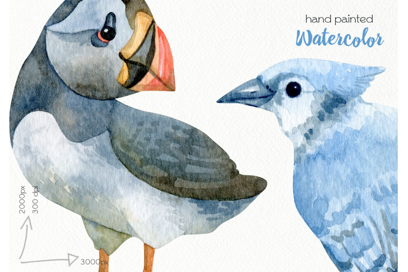 watercolor-birds-clipart-png-files