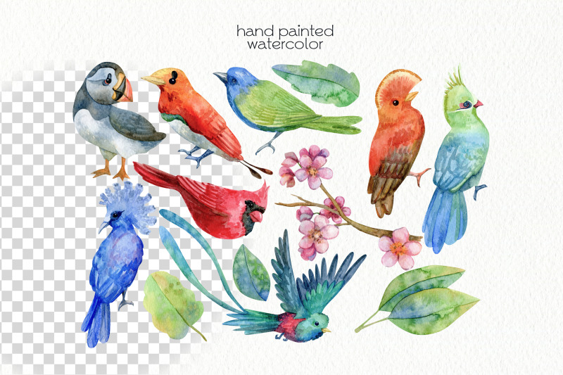 watercolor-birds-clipart-png-files