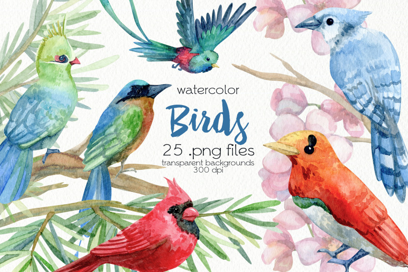 watercolor-birds-clipart-png-files