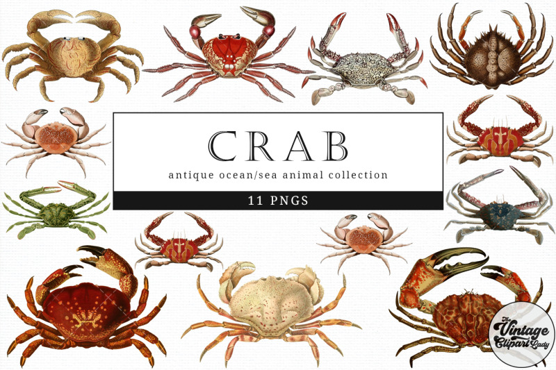 crab-vintage-animal-illustration-clip-art-clipart-fussy-cut