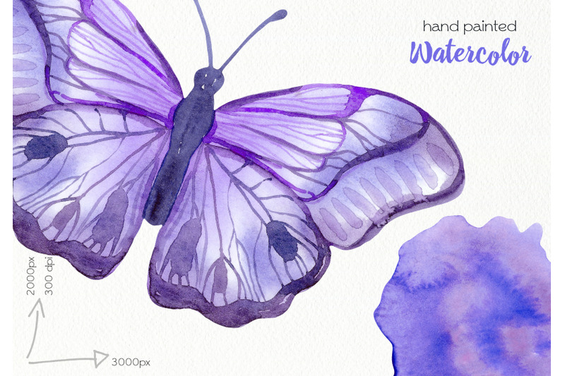 watercolor-purple-butterflies-png-files