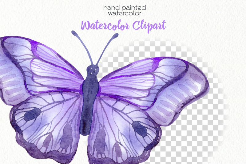 watercolor-purple-butterflies-png-files