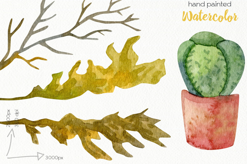 watercolor-boho-clipart-png-files