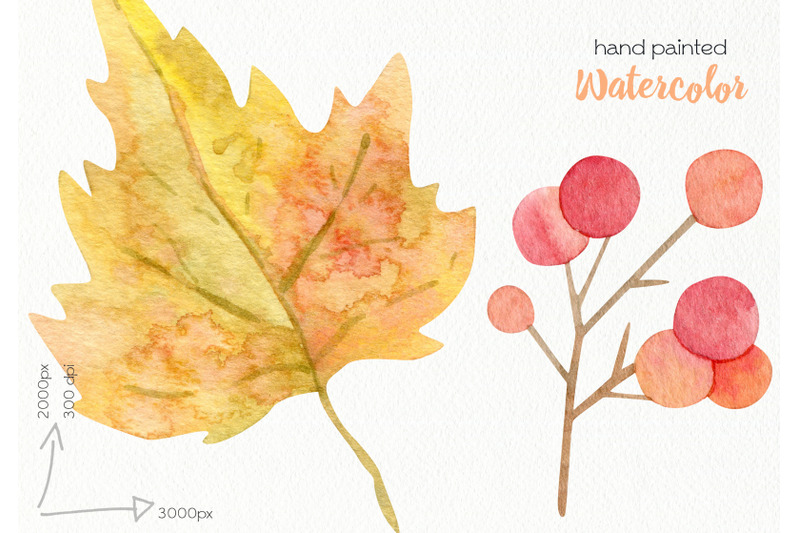 watercolor-pumpkin-clipart-png-files