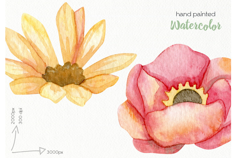 watercolor-autumn-flowers-png-files