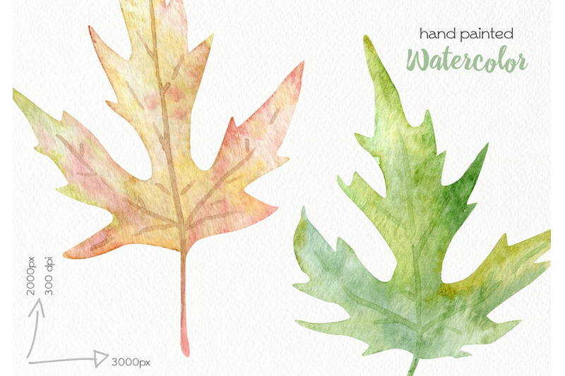 watercolor-autumn-flowers-png-files