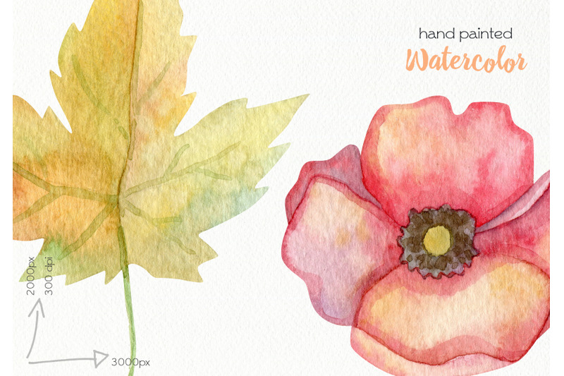 watercolor-autumn-flowers-png-files