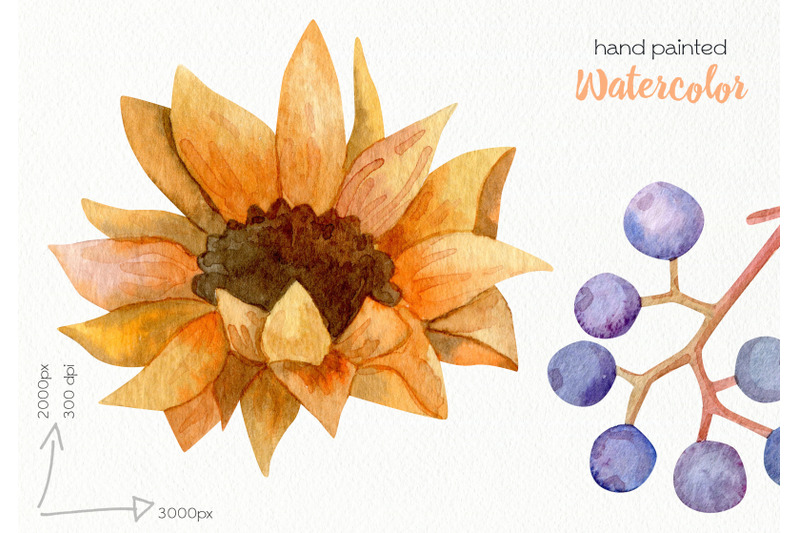 watercolor-autumn-flowers-png-files