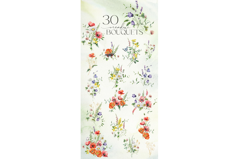 summer-meadow-wildflowers-watercolor-collection