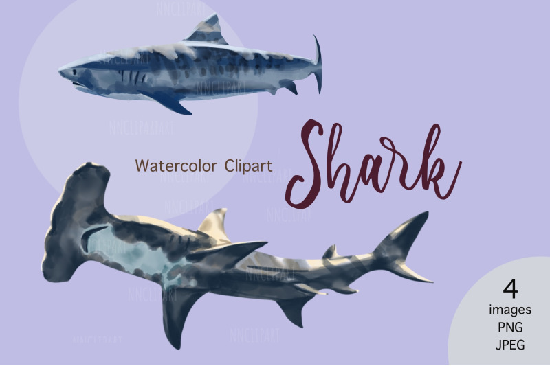 watercolor-sharks-png-clipart-nautical-digital-download