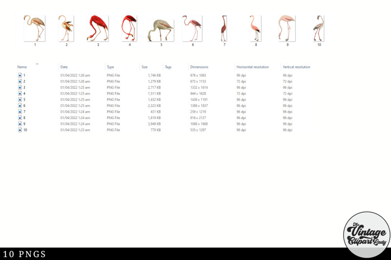 flamingo-vintage-animal-illustration-clip-art-clipart-fussy-cut