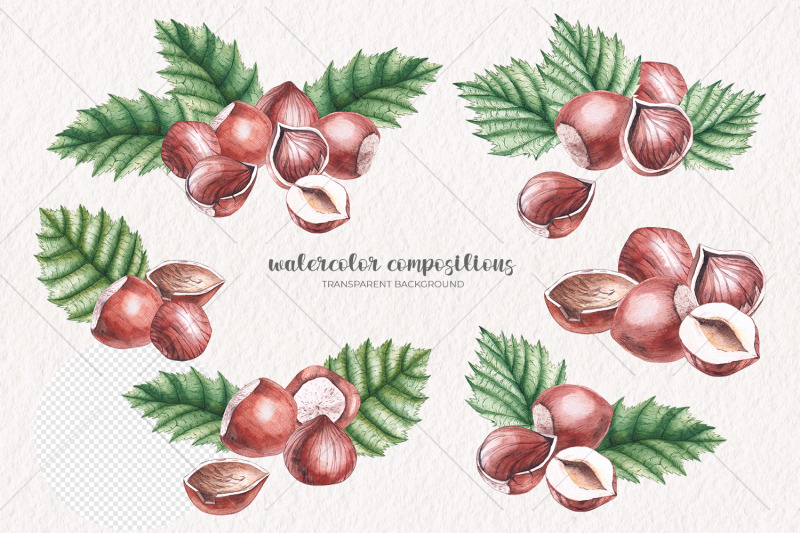 watercolor-hazelnuts-watercolor-clipart-png