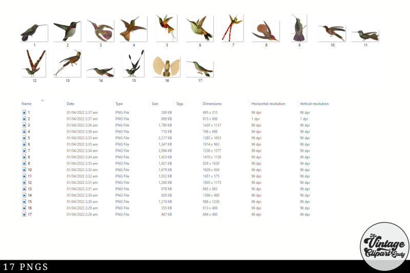 hummingbird-vintage-animal-illustration-clip-art-clipart-fussy-cut