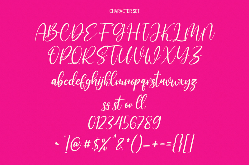 briefstays-script-font