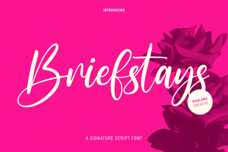 briefstays-script-font