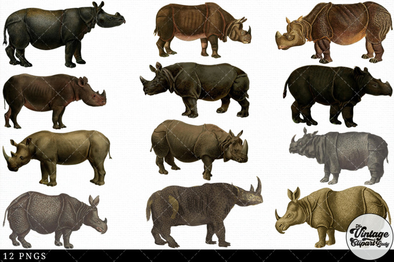 rhinoceros-vintage-animal-illustration-clip-art-clipart-fussy-cut