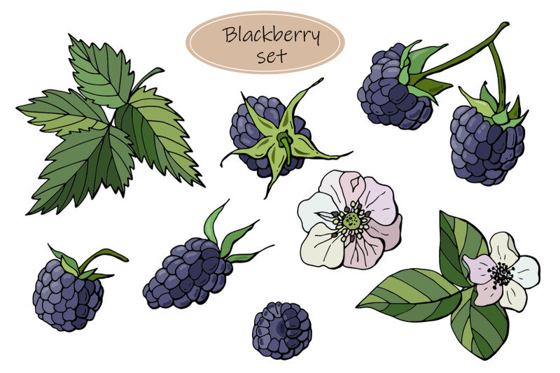 blackberry