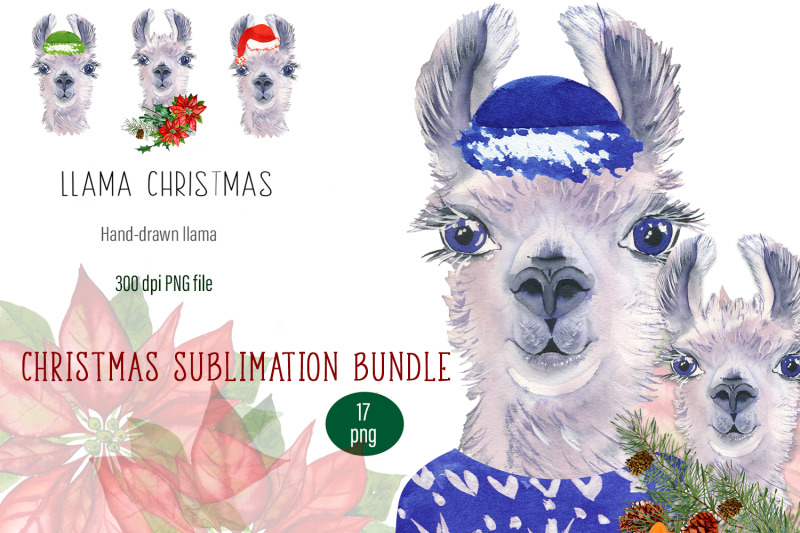 watercolor-llama-christmas-clipart-sublimation-designs