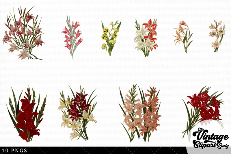 gladious-vintage-floral-botanical-clip-art