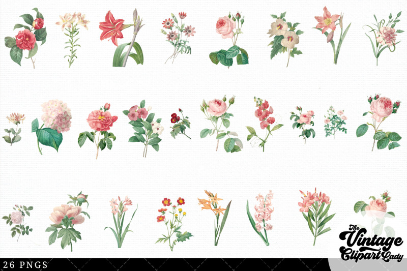pink-flowers-vintage-floral-botanical-clip-art