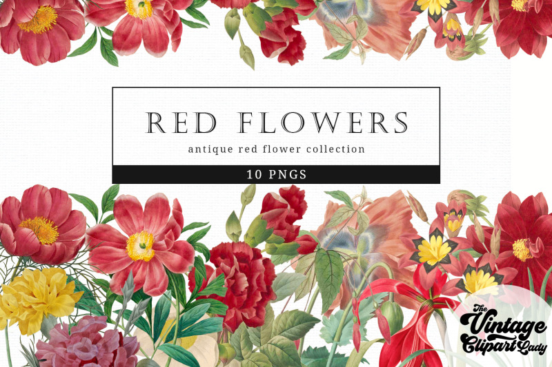 red-flowers-vintage-floral-botanical-clip-art