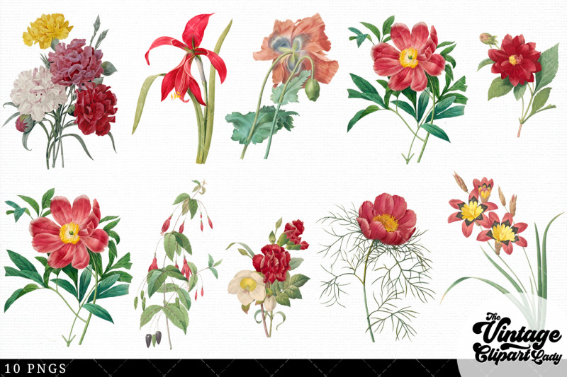 red-flowers-vintage-floral-botanical-clip-art