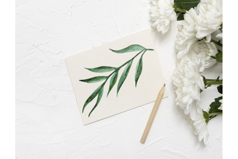 pack-of-watercolor-leaves-and-flowers