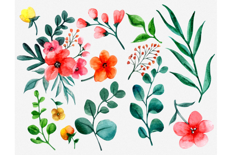 pack-of-watercolor-leaves-and-flowers