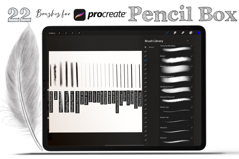 graphite-pencils-box-brushes-for-procreate