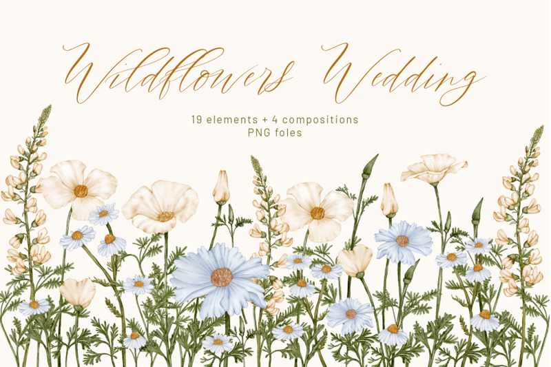 wildflowers-botanical-wedding-clipart-daisy-boho-flowers-greenery