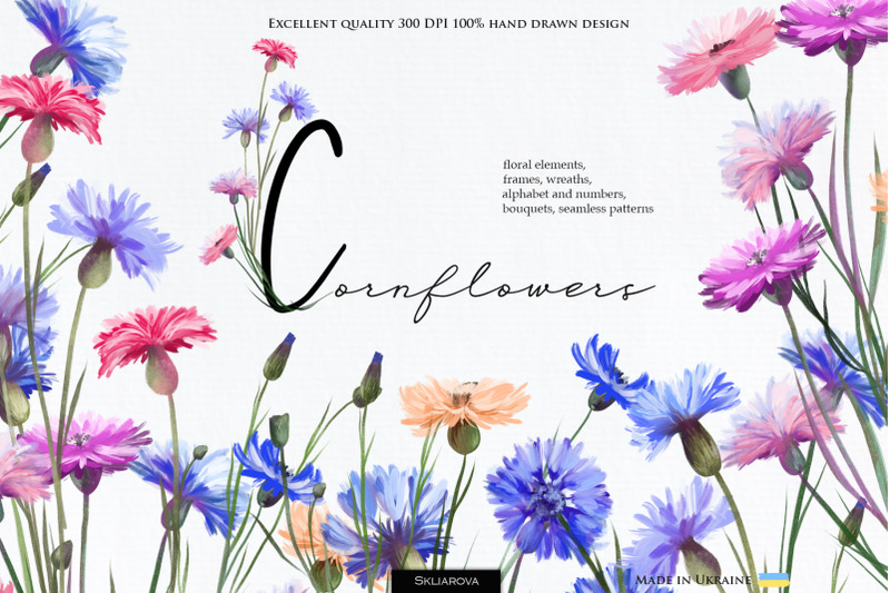 cornflowers-collection