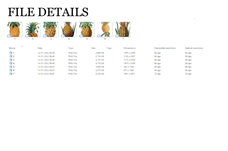 pineapple-vintage-fruit-botanical-clip-art