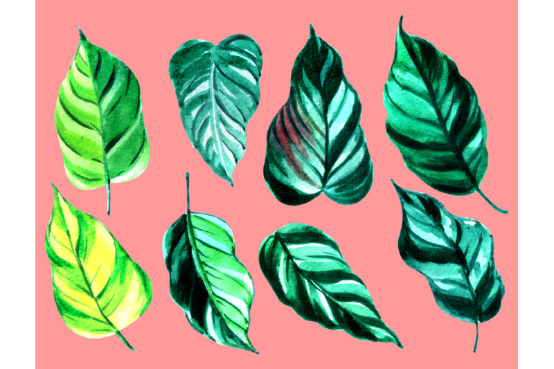 set-of-watercolor-green-tropical-leaves