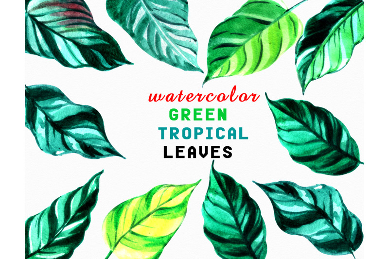 set-of-watercolor-green-tropical-leaves