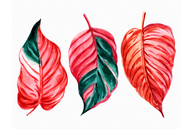 set-of-watercolor-tropical-leaves-graphic