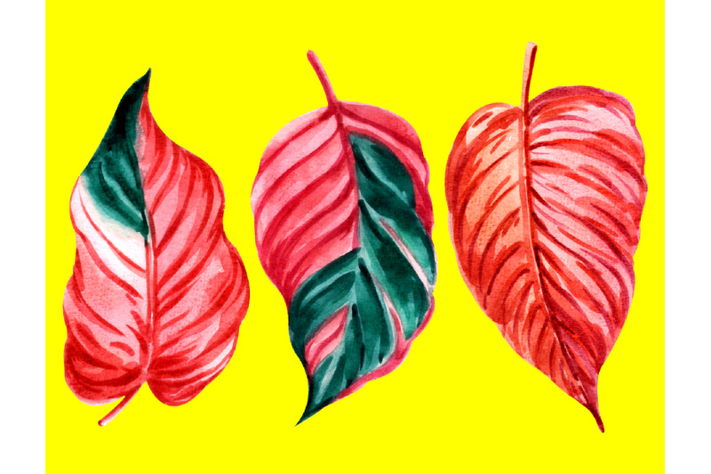 set-of-watercolor-tropical-leaves-graphic