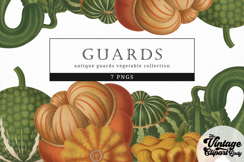 guards-vintage-vegetable-botanical-clip-art