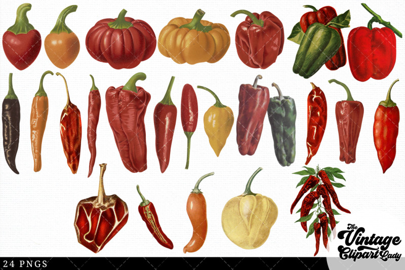 peppers-vintage-vegetable-botanical-clip-art