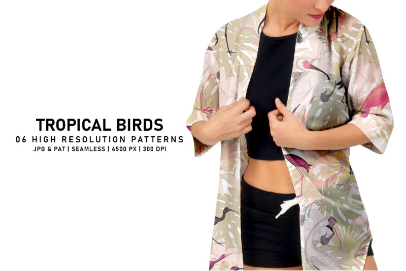 tropical-birds