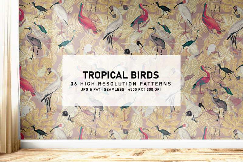 tropical-birds