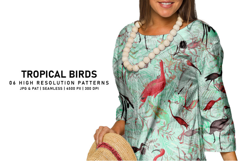 tropical-birds