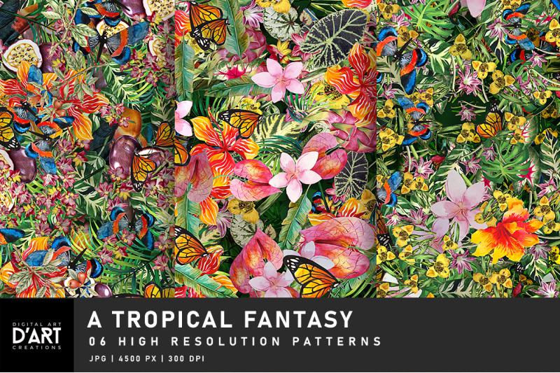 a-tropical-fantasy