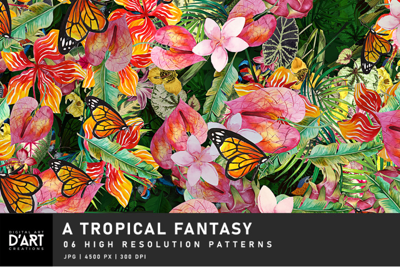 a-tropical-fantasy