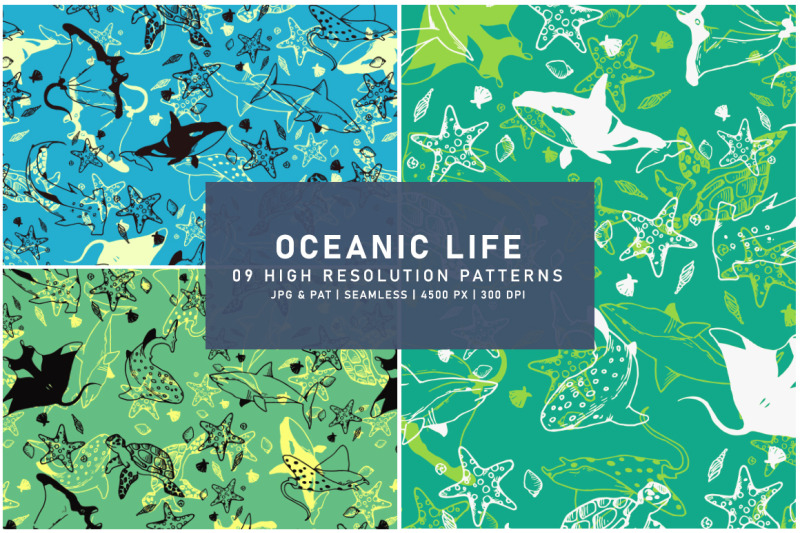 oceanic-life