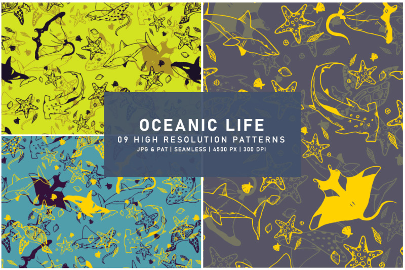 oceanic-life