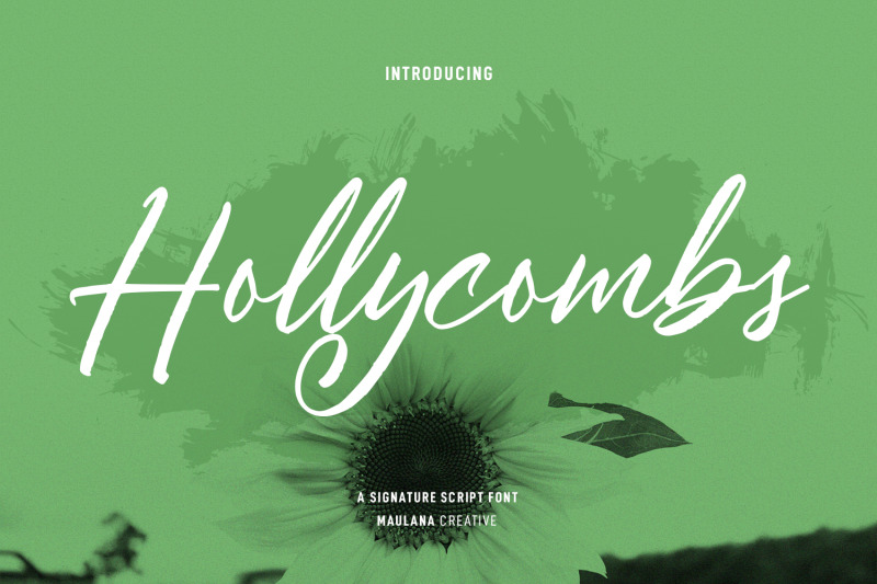 hollycombs-script-font